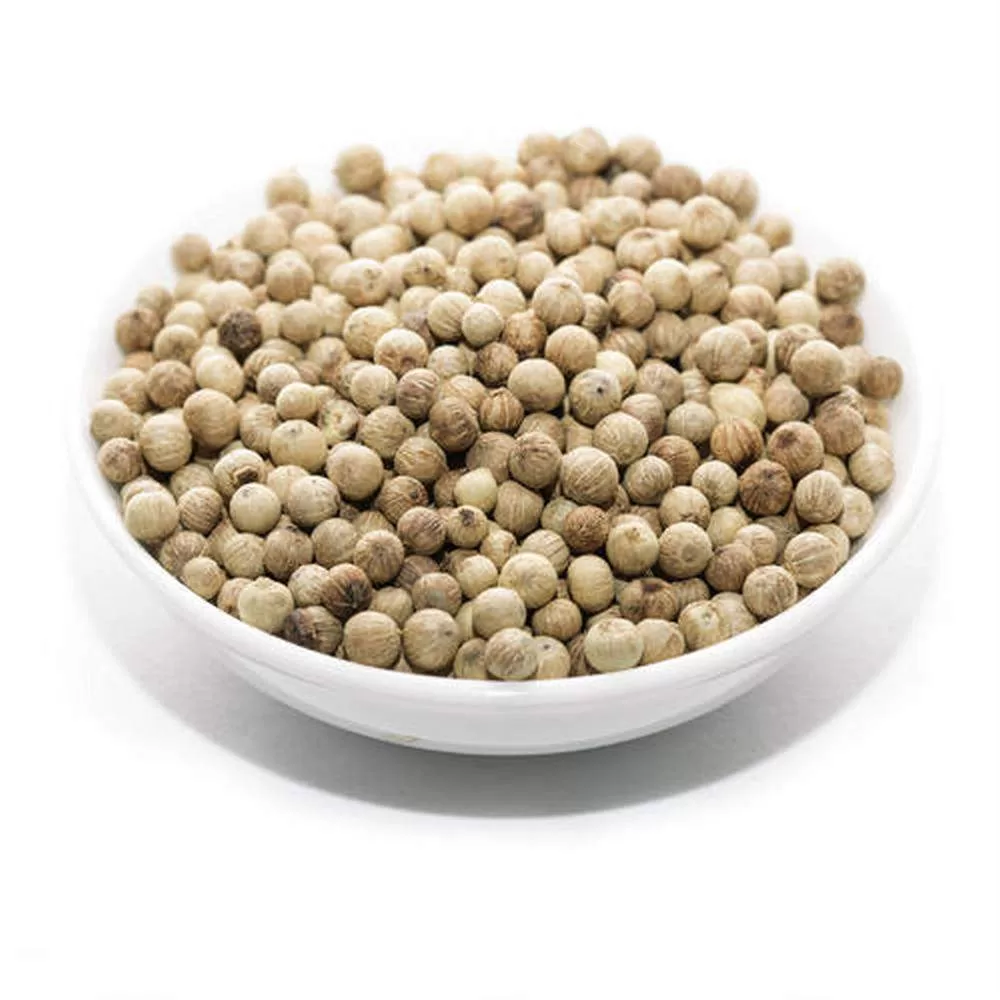 最大59%OFFクーポン最大59%OFFクーポン丸なす塩漬粉末ハミガキ 高原(50g) デンタルケア 
