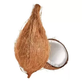 Coconut (Narkel)