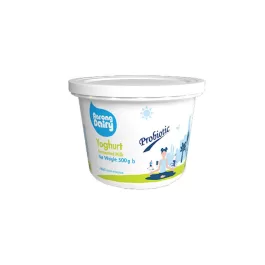 Yoghurt Fermented Milk Lemon (500 gm)